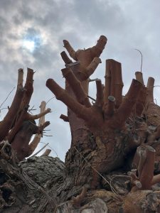 John Gabriel Borkman