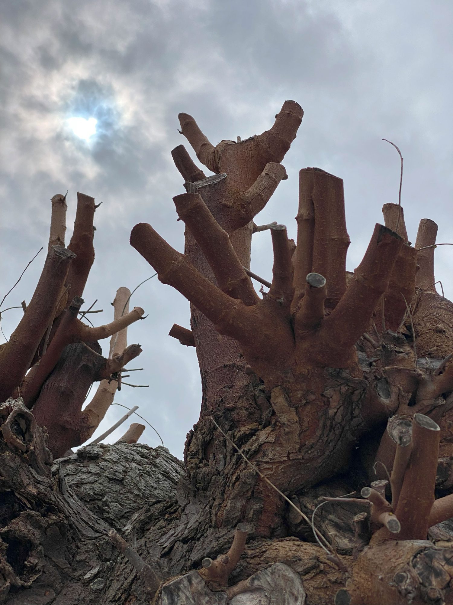 John Gabriel Borkman