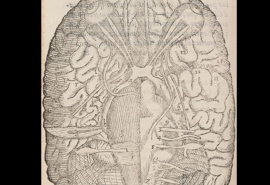 Música - PONS VAROLII