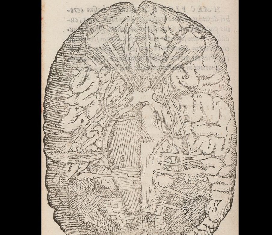 Música - PONS VAROLII