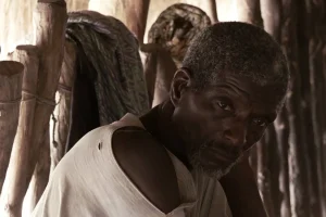 “O Zé quer saber porquê” leva o Ciclo Divergente à Quinta Alegre