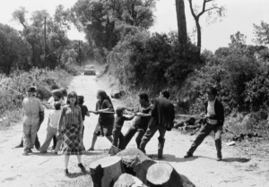 Torrente — Teatro do Vestido, Joana Craveiro