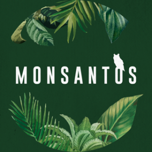 RÉVEILLON MONSANTOS 2025/2026