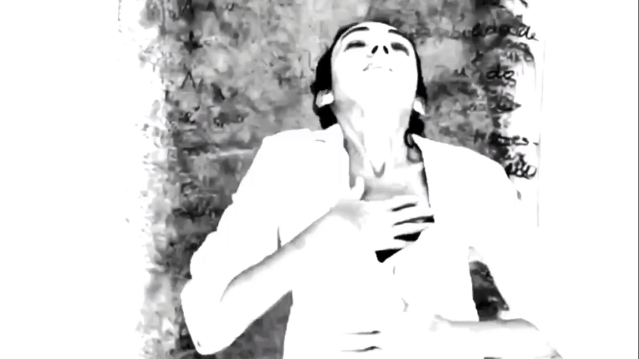 CLARICEANAS: Conversa-performance n.2