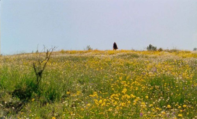 Ciclo de Cinema Ambiental II