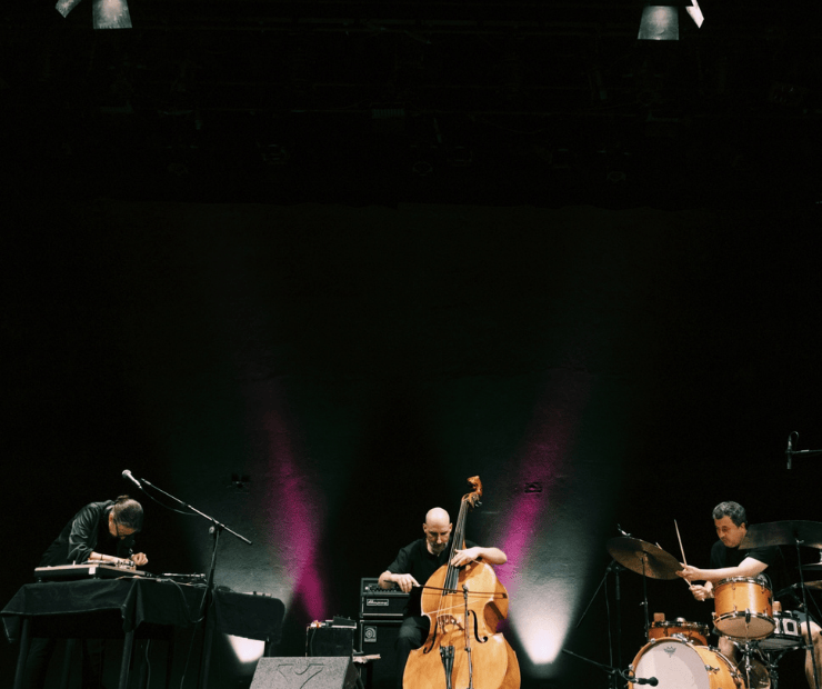 Rapid Zen + Zénite Azul