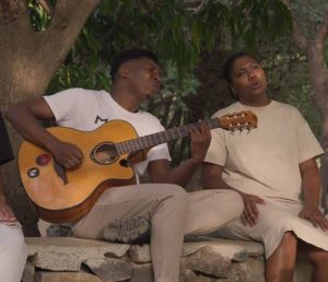 ‘Orlando Pantera’ de Catarina Alves Costa