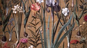 Academia Botânica no Jardim Gulbenkian