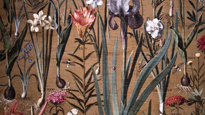 Academia Botânica no Jardim Gulbenkian