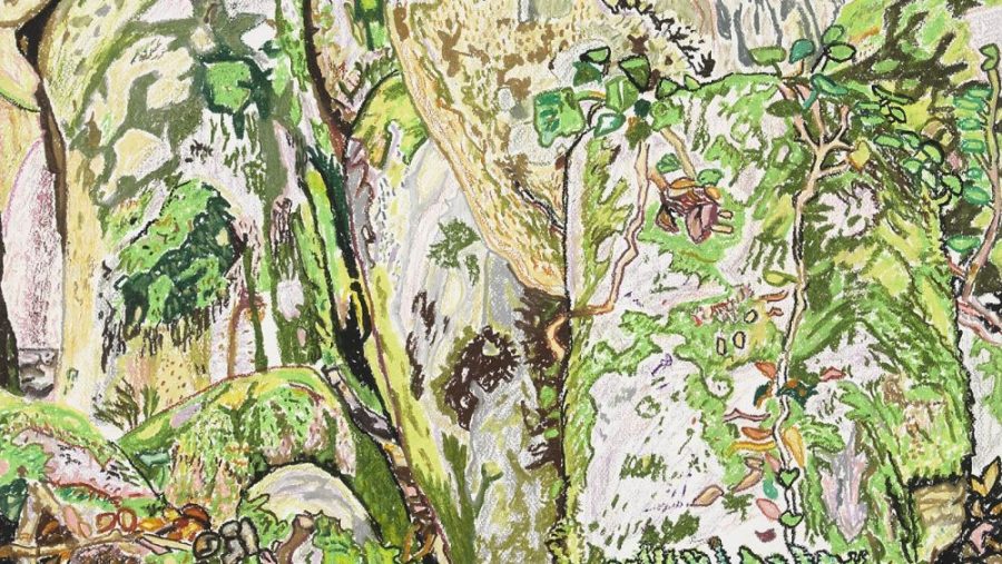 Espaços Verdes em Desenho: a natureza reinterpretada na Coleção do CAM Gulbenkian