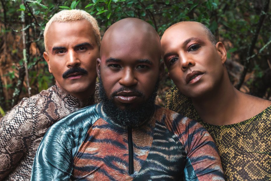 O veneno da cobra é nosso remédio – Coletivo Afrontosas