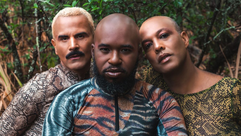 O veneno da cobra é nosso remédio – Coletivo Afrontosas