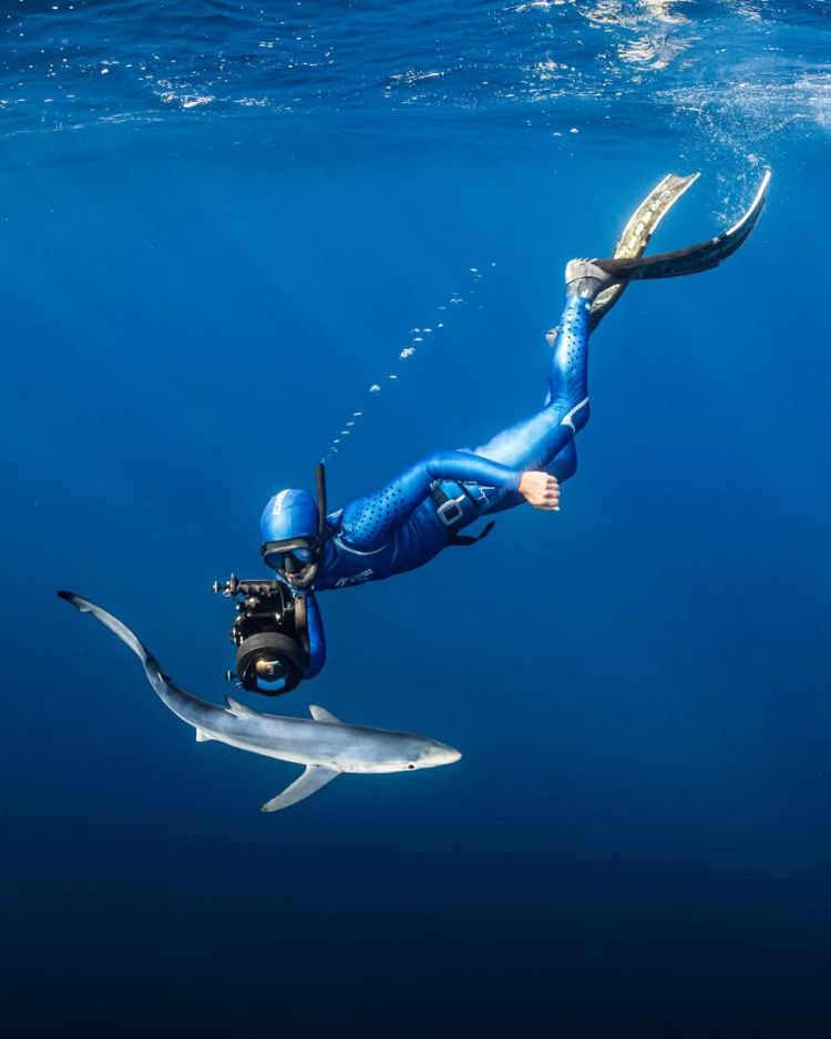 Festival de Cinema Subaquático de Lisboa