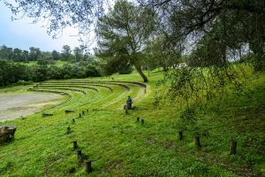Caminhada de Carnaval no Parque Florestal de Monsanto