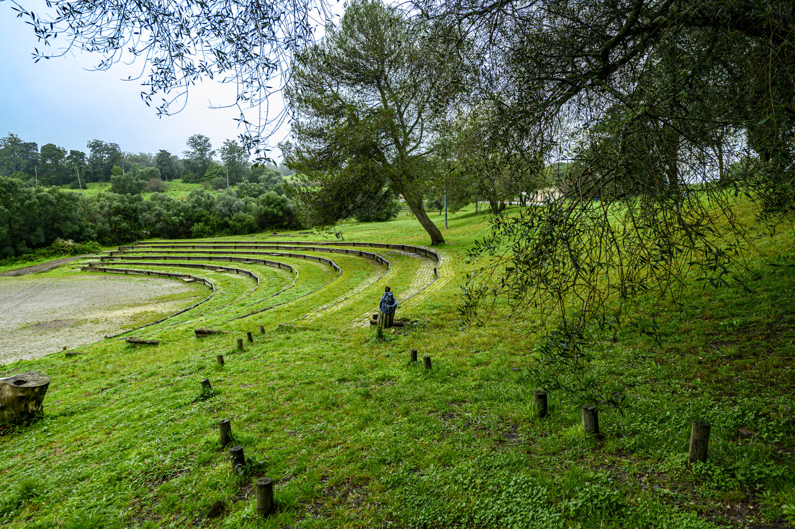 Caminhada de Carnaval no Parque Florestal de Monsanto