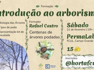 Introdução ao Arborismo: Aprenda a cuidar das árvores