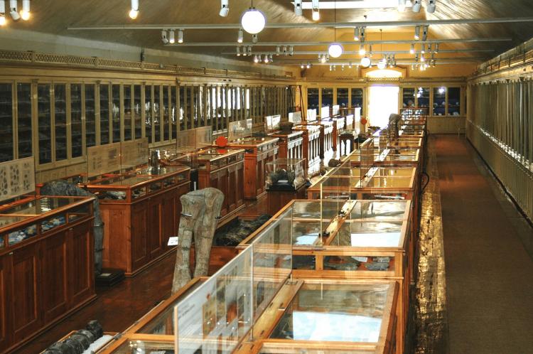 Visita ao Museu Geológico