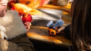 Felting Bombarda nos Jardins do Bombarda