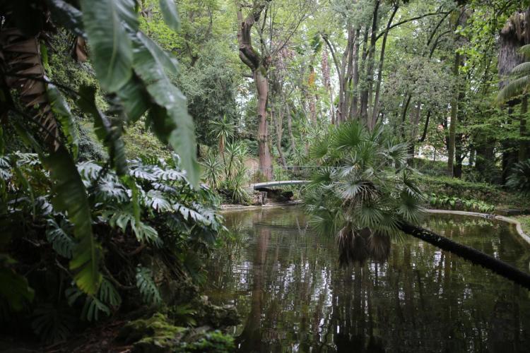 Jardim Botânico Tropical celebra 120 anos com atividades gratuitas