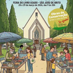 Pedras de Papel – Feira do Livro Usado
