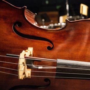 De Veneza aos Mil Lagos