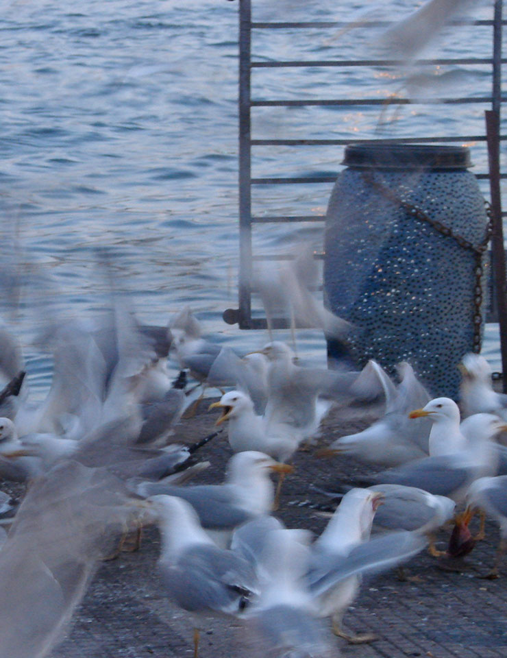 Um Julgamento – Christiane Jatahy e Wagner Moura