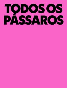 Todos Pássaros chega a Almada com drama intenso