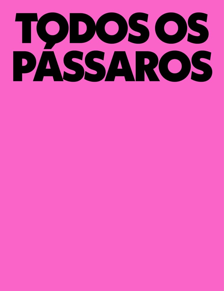 Todos Pássaros chega a Almada com drama intenso