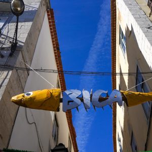 Percurso • Lisboa vai na Marcha!