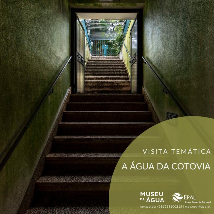 A Água da Cotovia