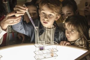 Infantil: As árvores são estranhas