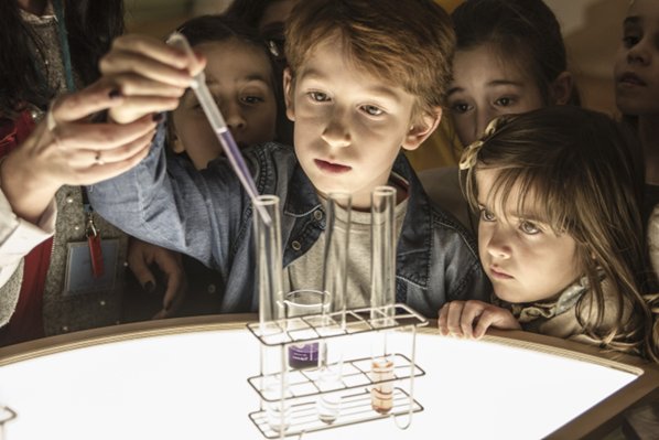 Infantil: As árvores são estranhas