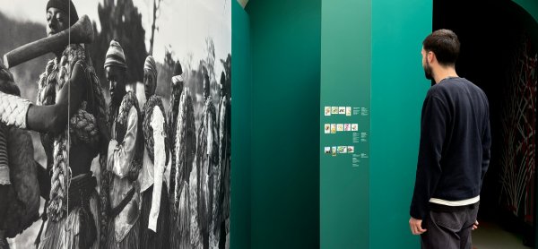 Visita noturna gratuita explora a ligação entre plantas e comunicações globais