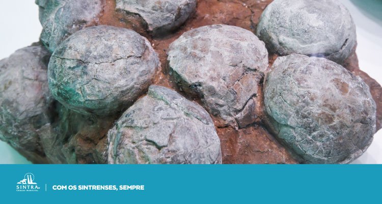 Jogo | Quem nasceu primeiro, o ovo ou o dinossauro?