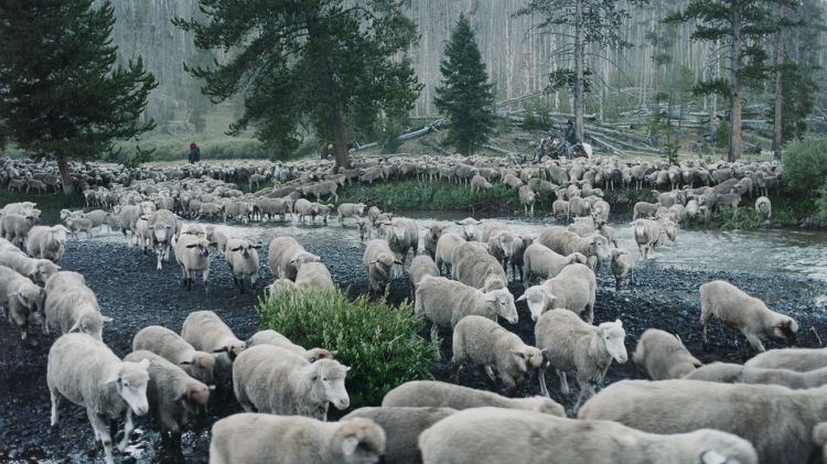Exibição de “Sweetgrass” leva o cinema etnográfico ao Museu Nacional de Etnologia