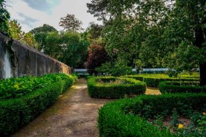 Oficina de Compostagem • Mãos na Terra