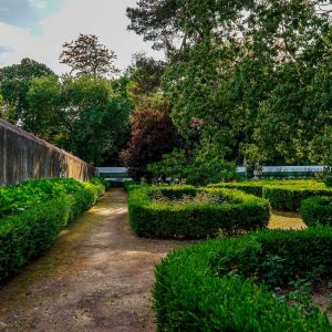 Oficina de Compostagem • Mãos na Terra