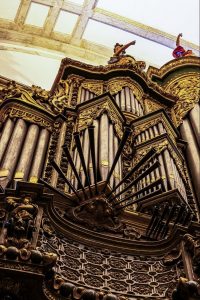 Concerto de Órgão: 