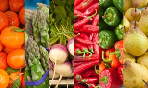 Lisboa mais saudável: Mercado Biológico Agrobio