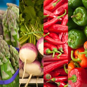 Lisboa mais saudável: Mercado Biológico Agrobio