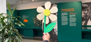 Oficina sensorial para bebés em Lisboa: “Bem me quer – Histórias com flores”