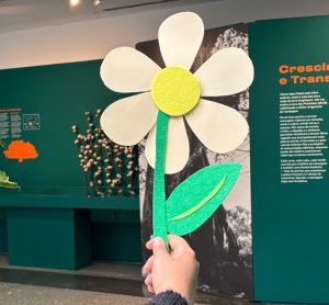 Oficina sensorial para bebés em Lisboa: “Bem me quer – Histórias com flores”