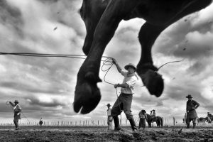“Tentos de Luz” em Lisboa: Tadeu Vilani