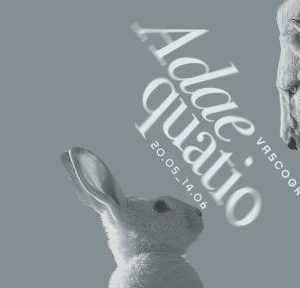Vasco Grilo inaugura exposição 