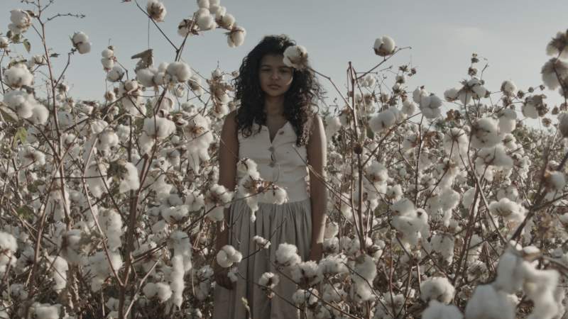 Mostra de Cinema da América Latina regressa a Lisboa com filmes imperdíveis no Cinema São Jorge