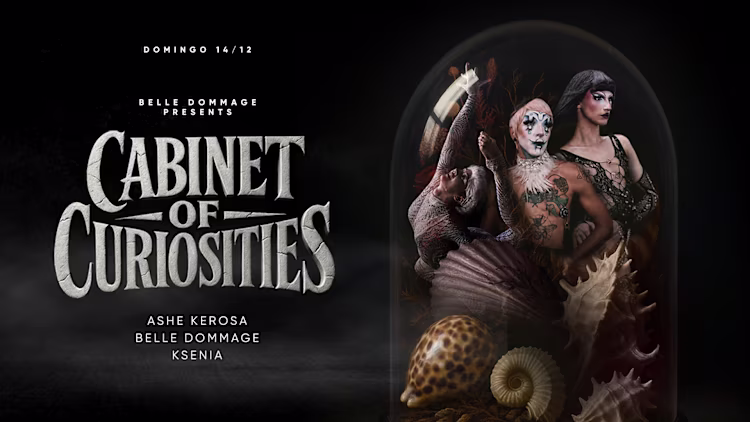 Belle Dommage’s Cabinet of Curiosities #16 traz cabaret queer vibrante ao Drama Bar Lisboa