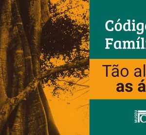 Código Famílias - Tão alto como as árvores