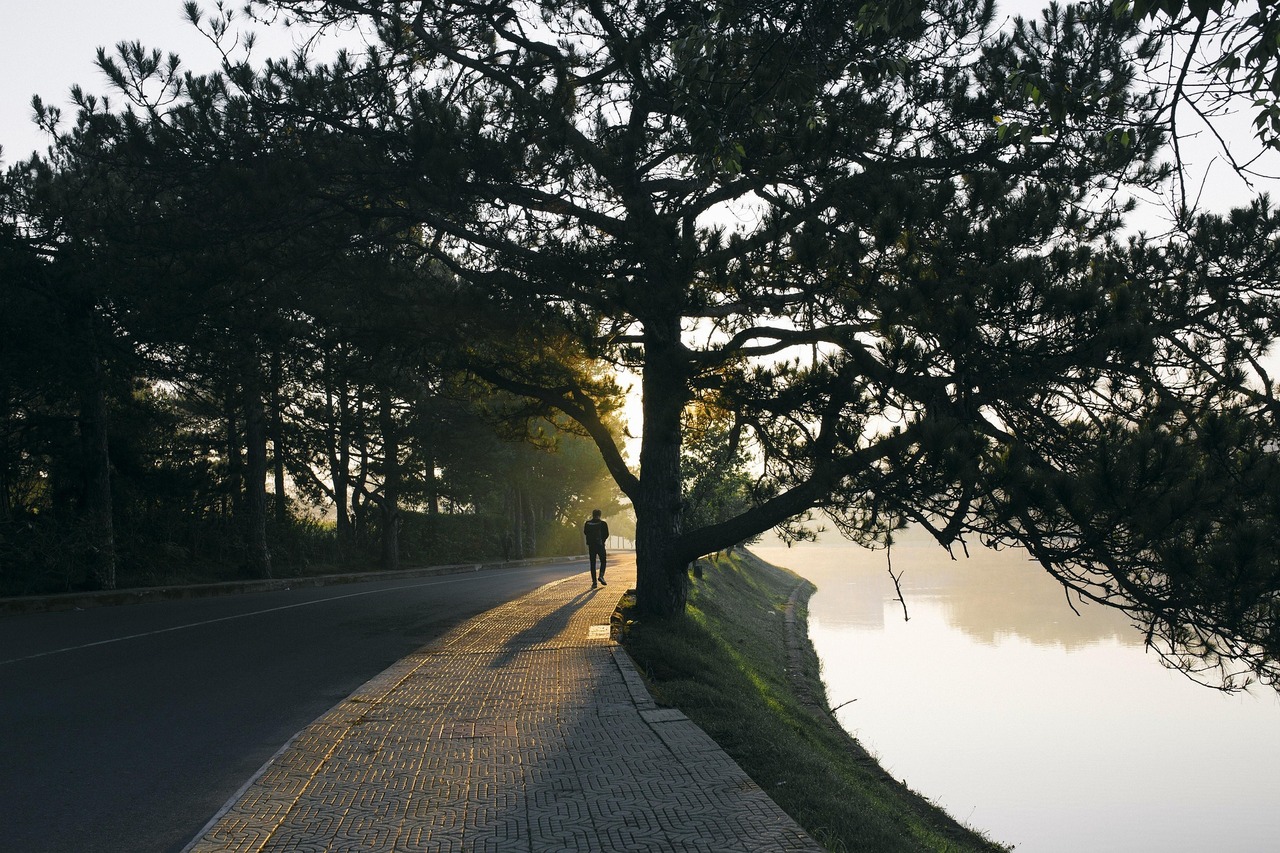 Paisagem arborizada ao longo de um percurso pedestre