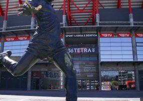 Visita ao Estádio da Luz + Museu Benfica: acesso rápido