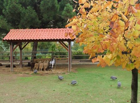 Quinta Pedagógica dos Olivais